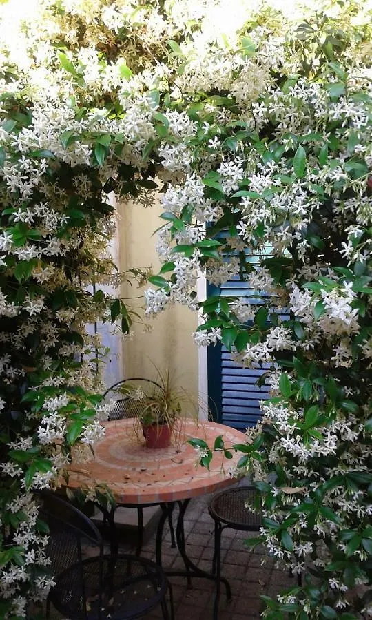 Incantomare Viareggio Apartment